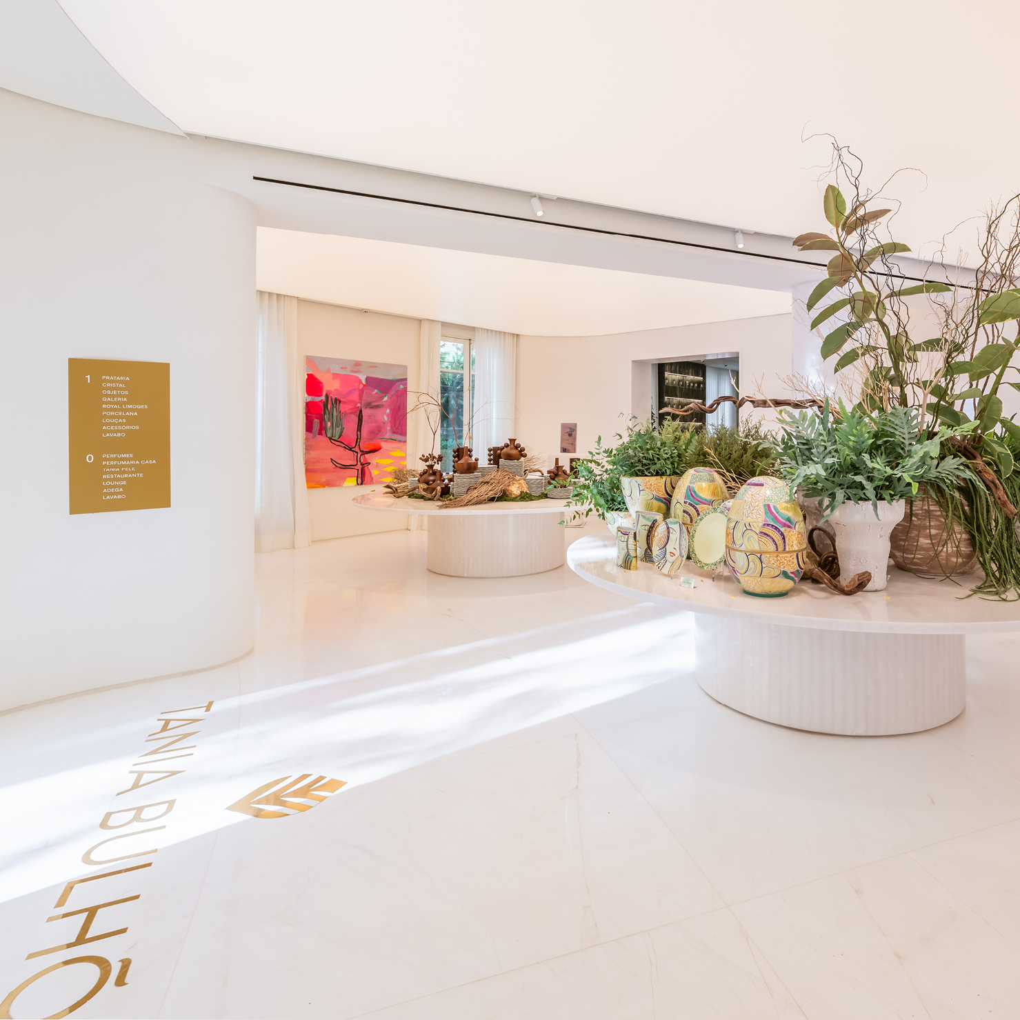 tânia bulhões, mnma studio, foco luz e desenho