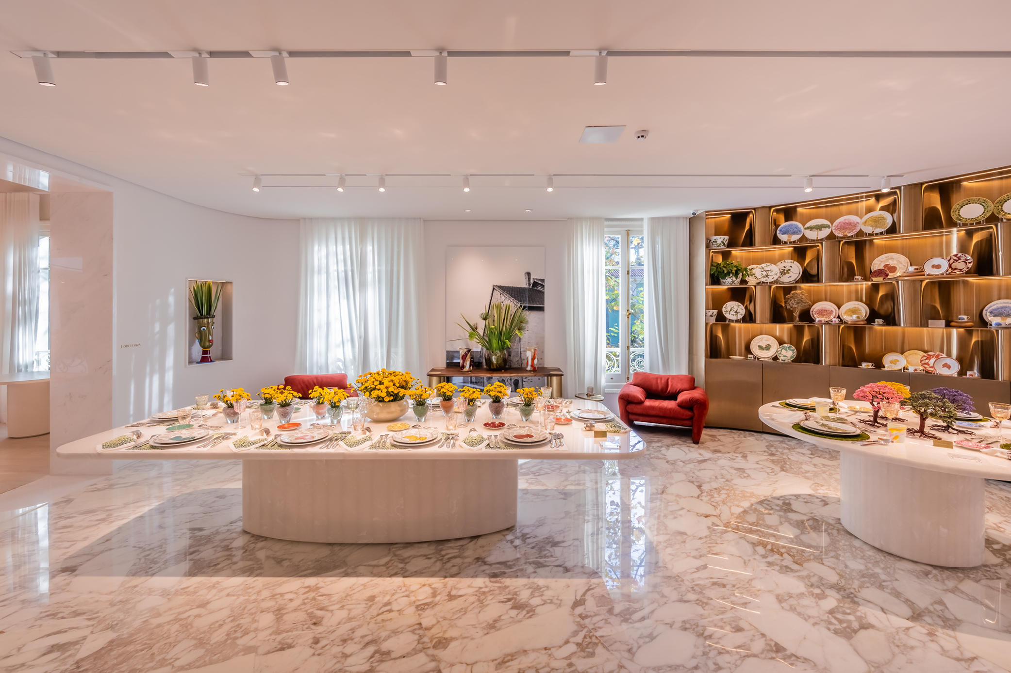 tânia bulhões, mnma studio, foco luz e desenho