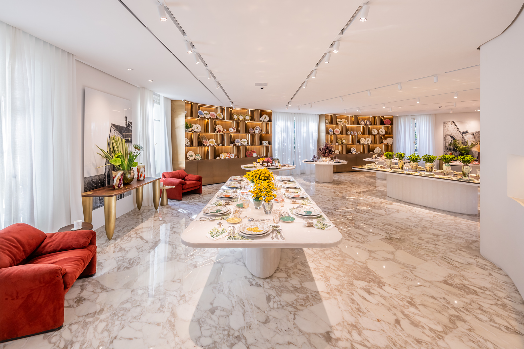 tânia bulhões, mnma studio, foco luz e desenho