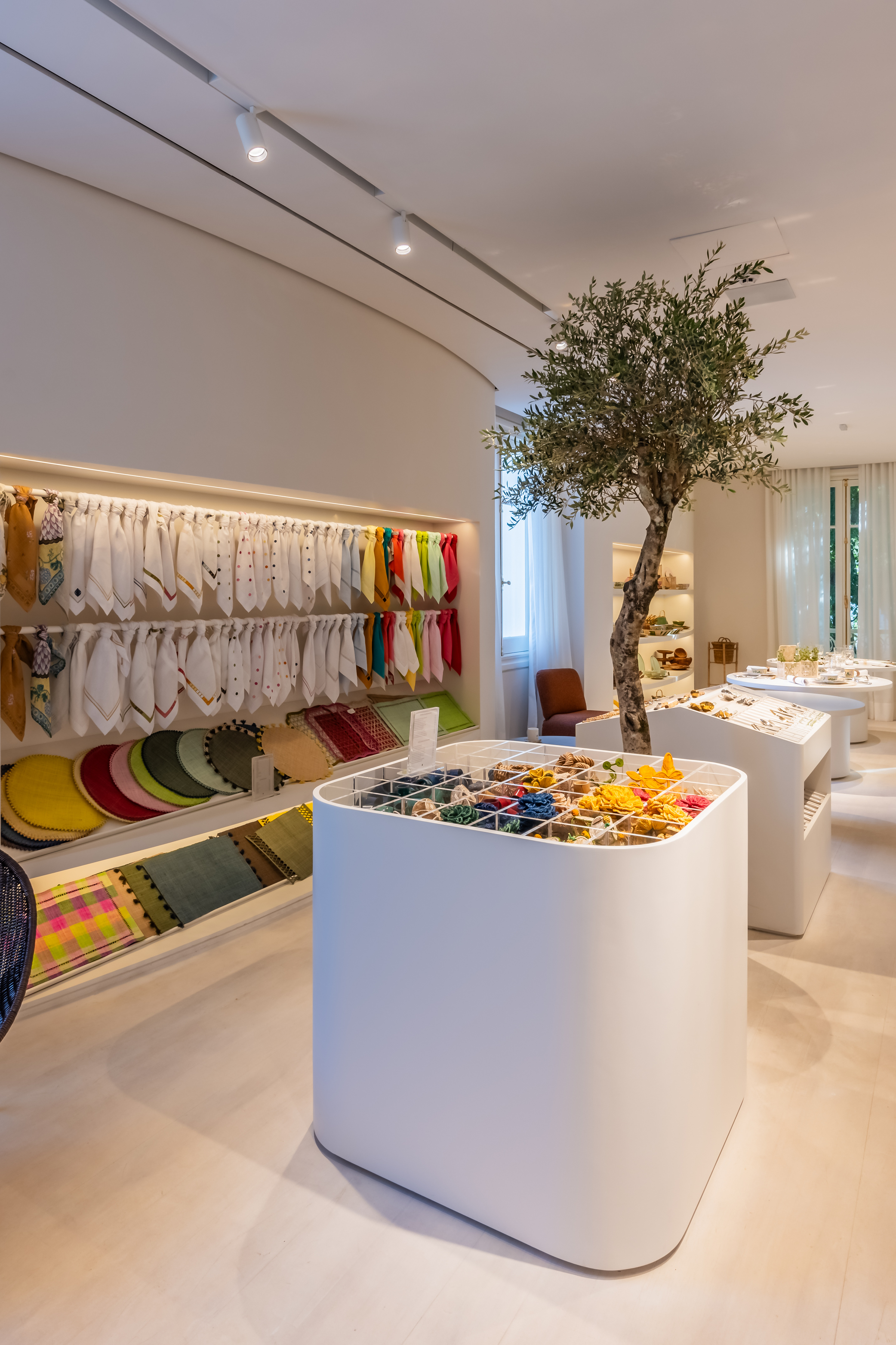 tânia bulhões, mnma studio, foco luz e desenho