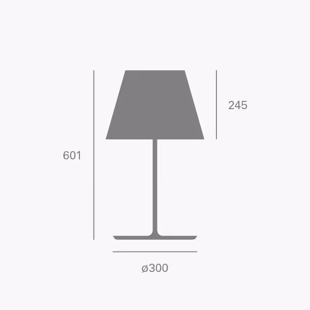 des_dome t-01