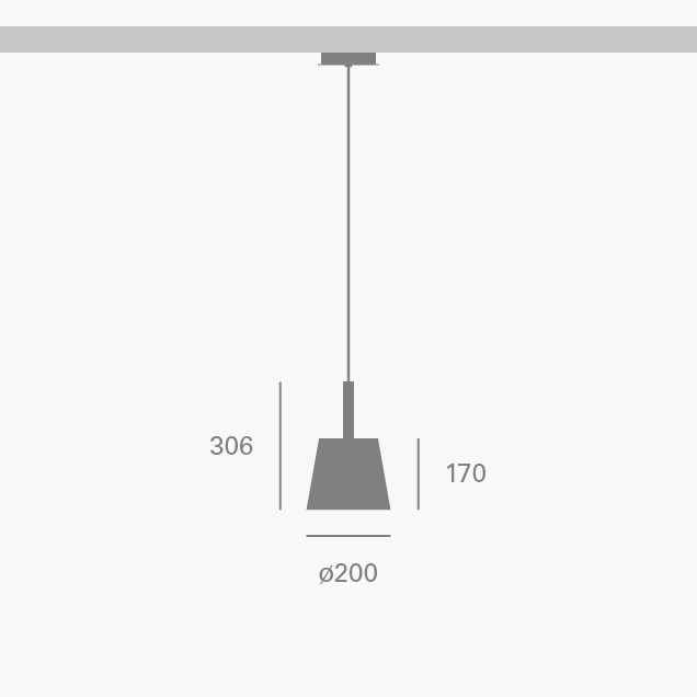 des_micro root s.png