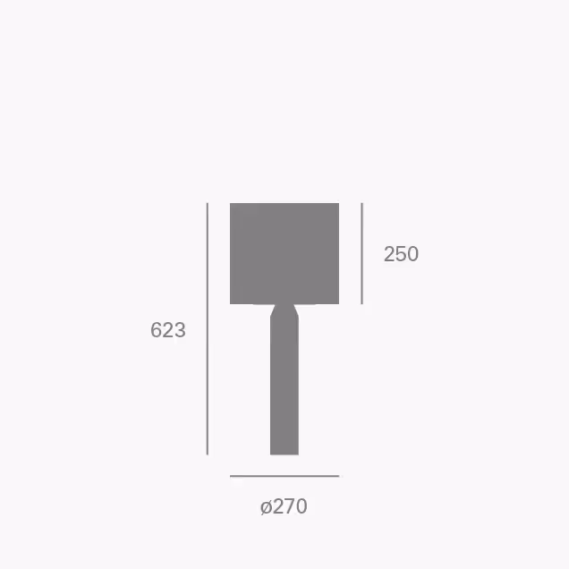 des_mini raw t