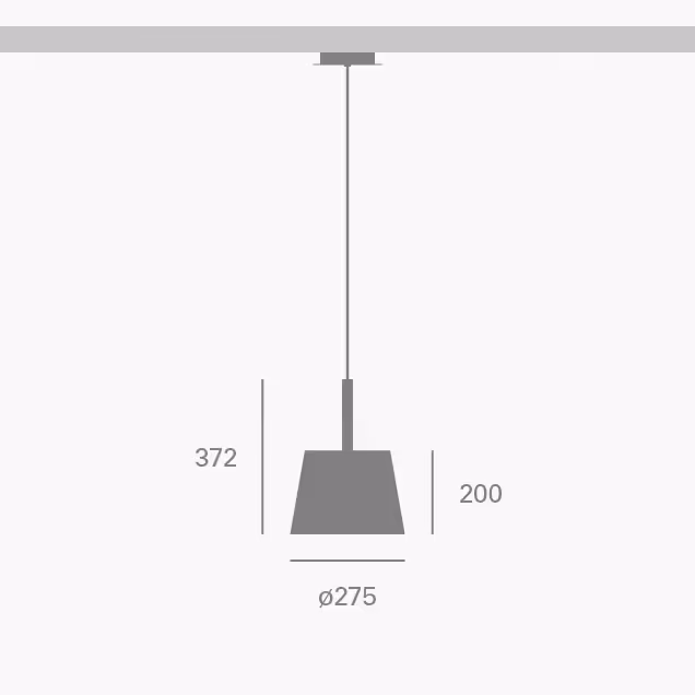 des_mini root s