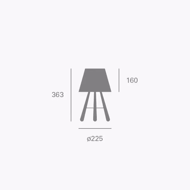 des_mini vinte 2-t