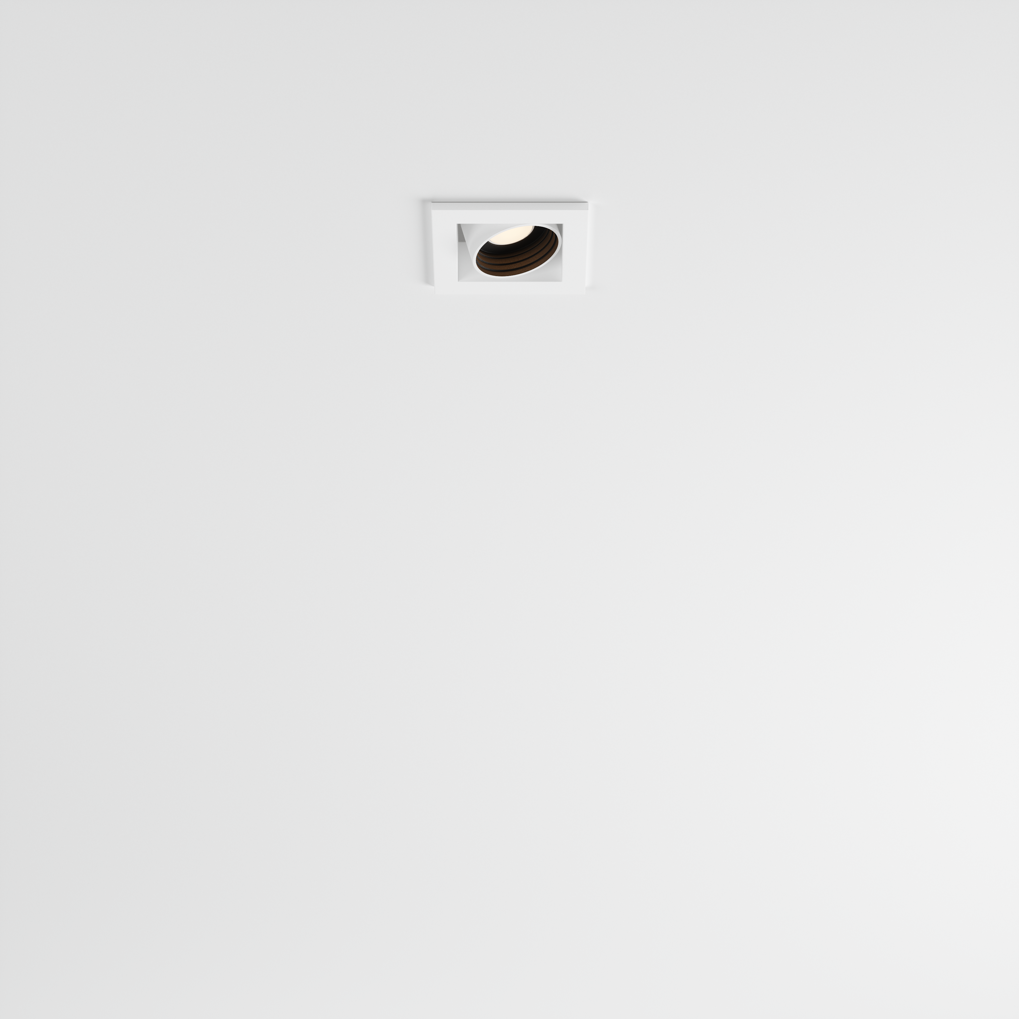 focus xsm a e - branca