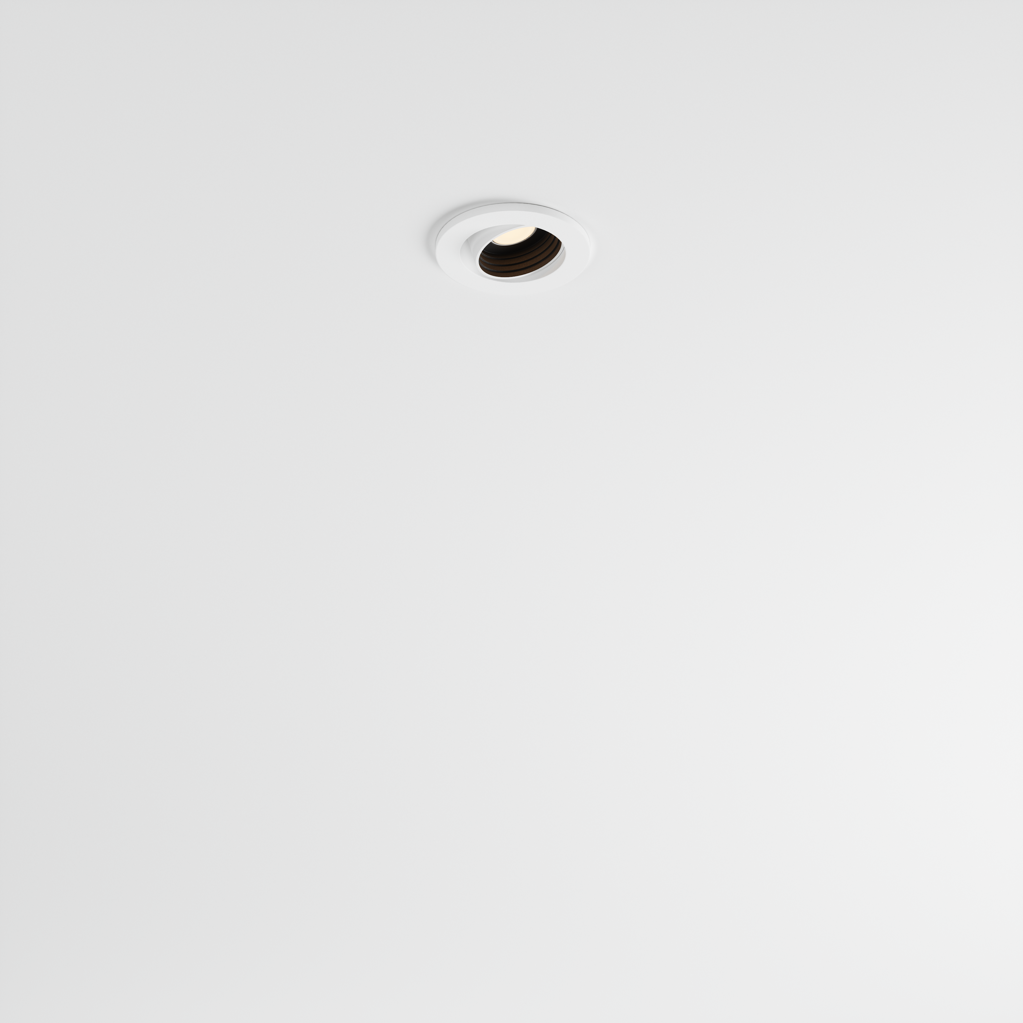 focus xsm r e - branca