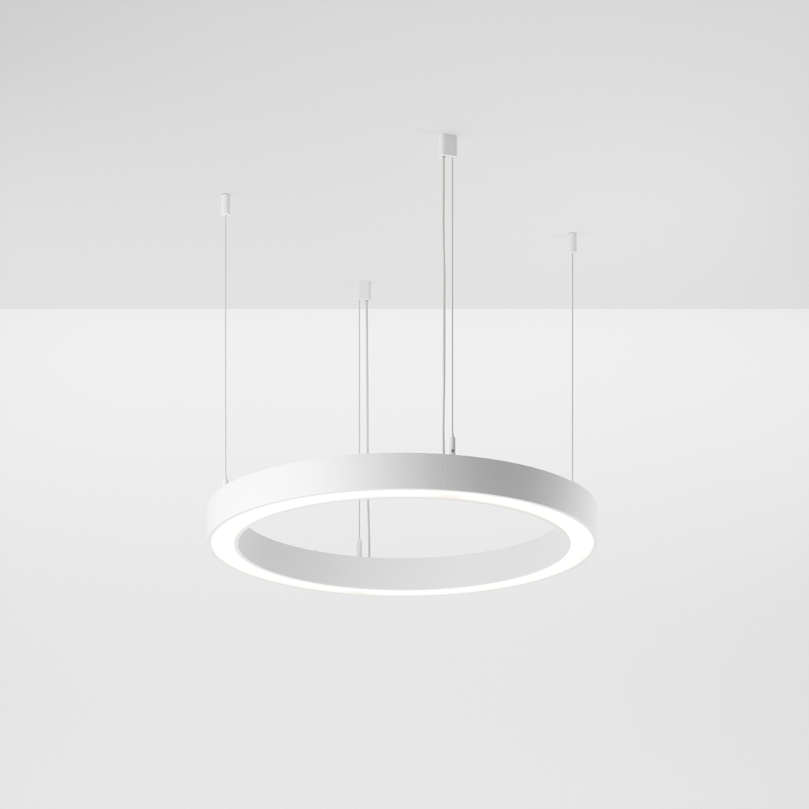 foto_loop modulo r 35-01 .png