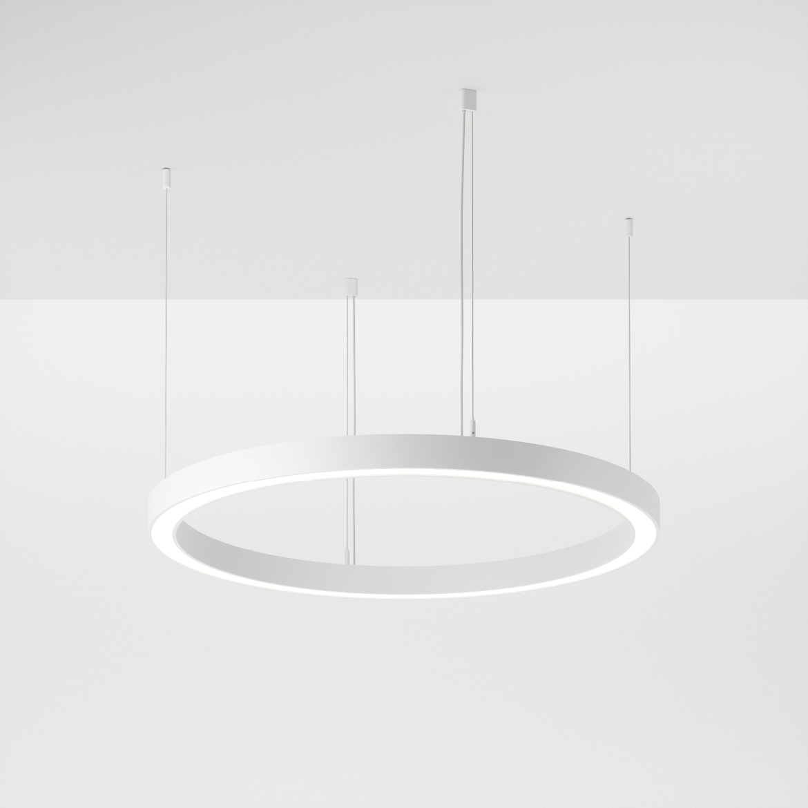 foto_loop modulo r 50-01.png