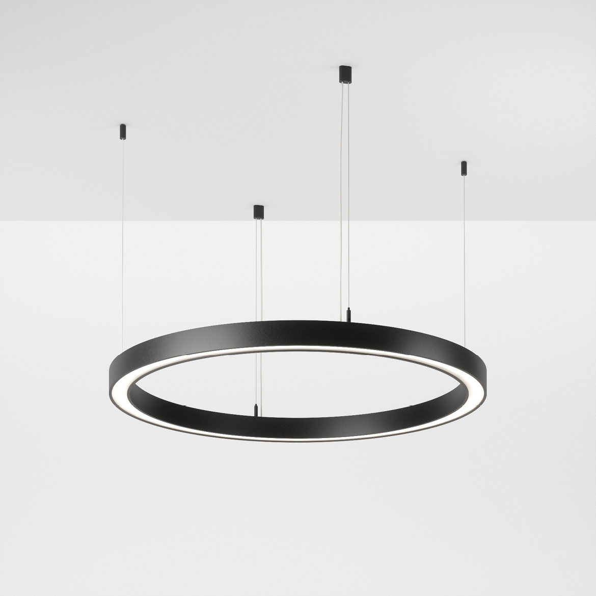 foto_loop modulo r 50-02.png