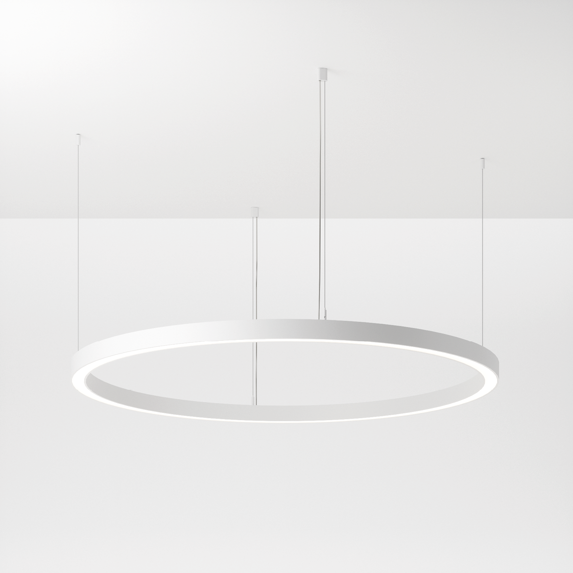 foto_loop modulo r 75-01.png