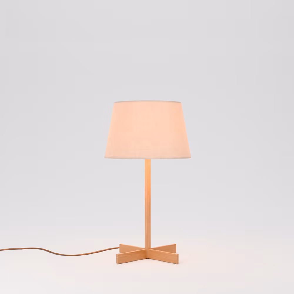 foto_luminaria-root-t