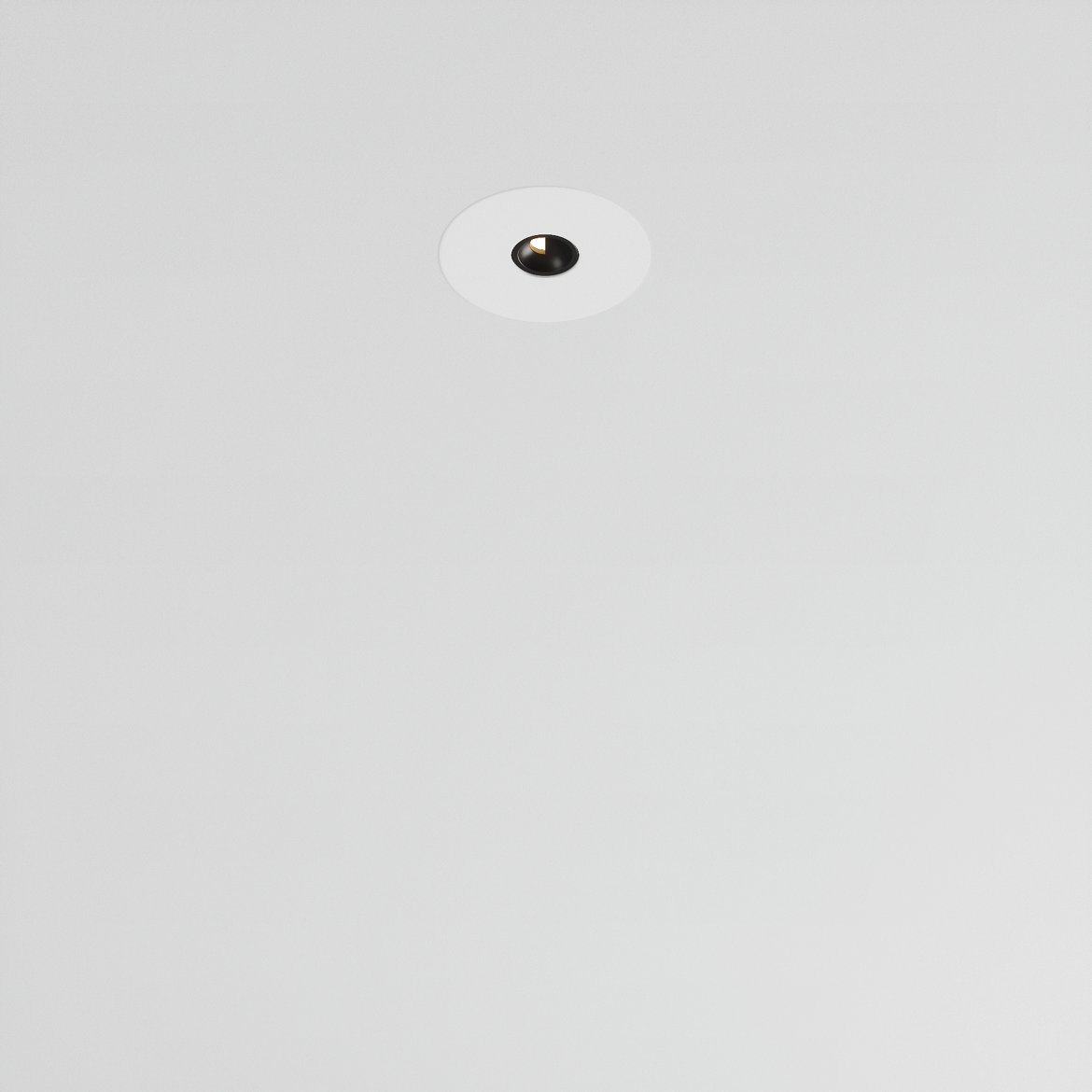 foto_minima r ww e-01.png