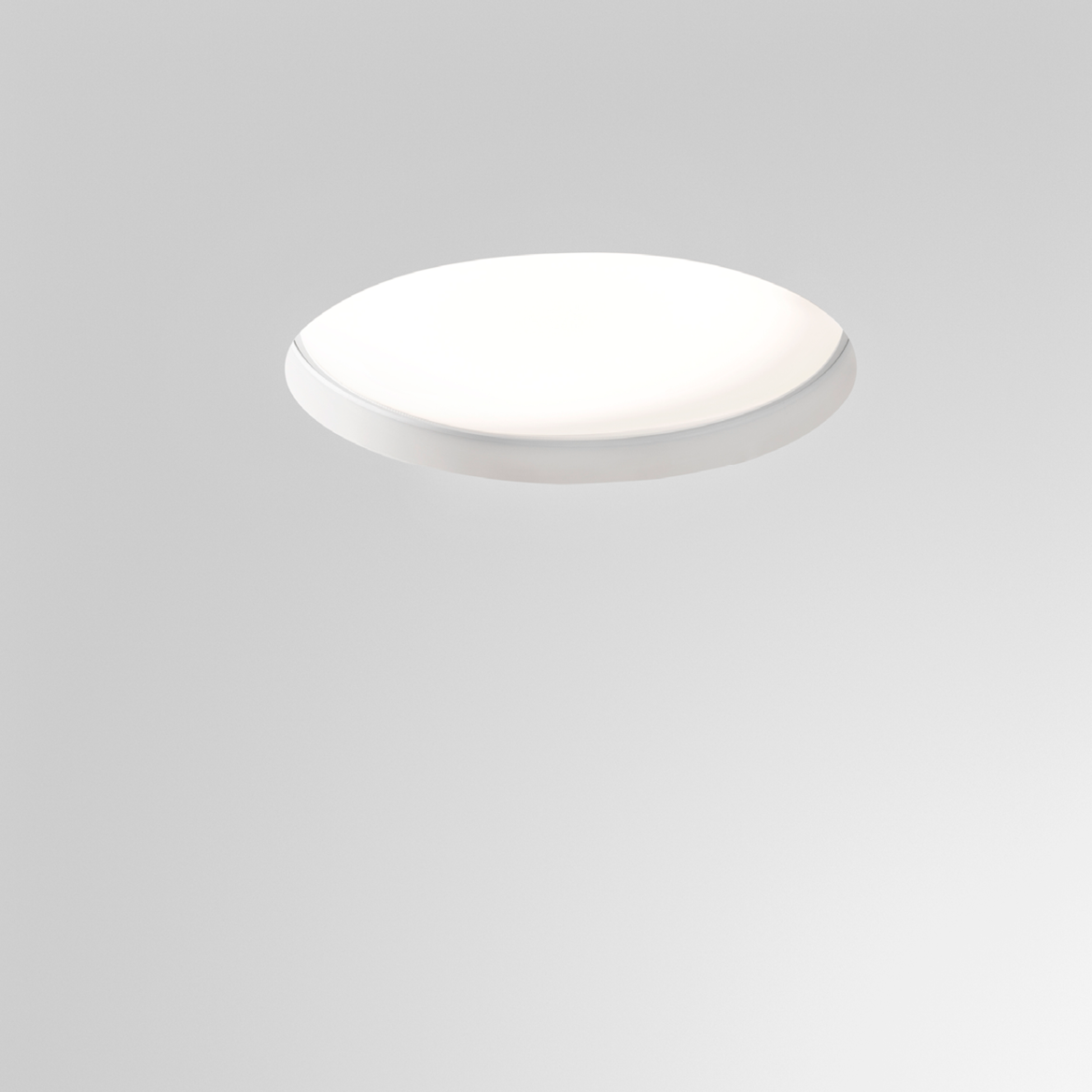 foto_no frame r 310 e-01.png