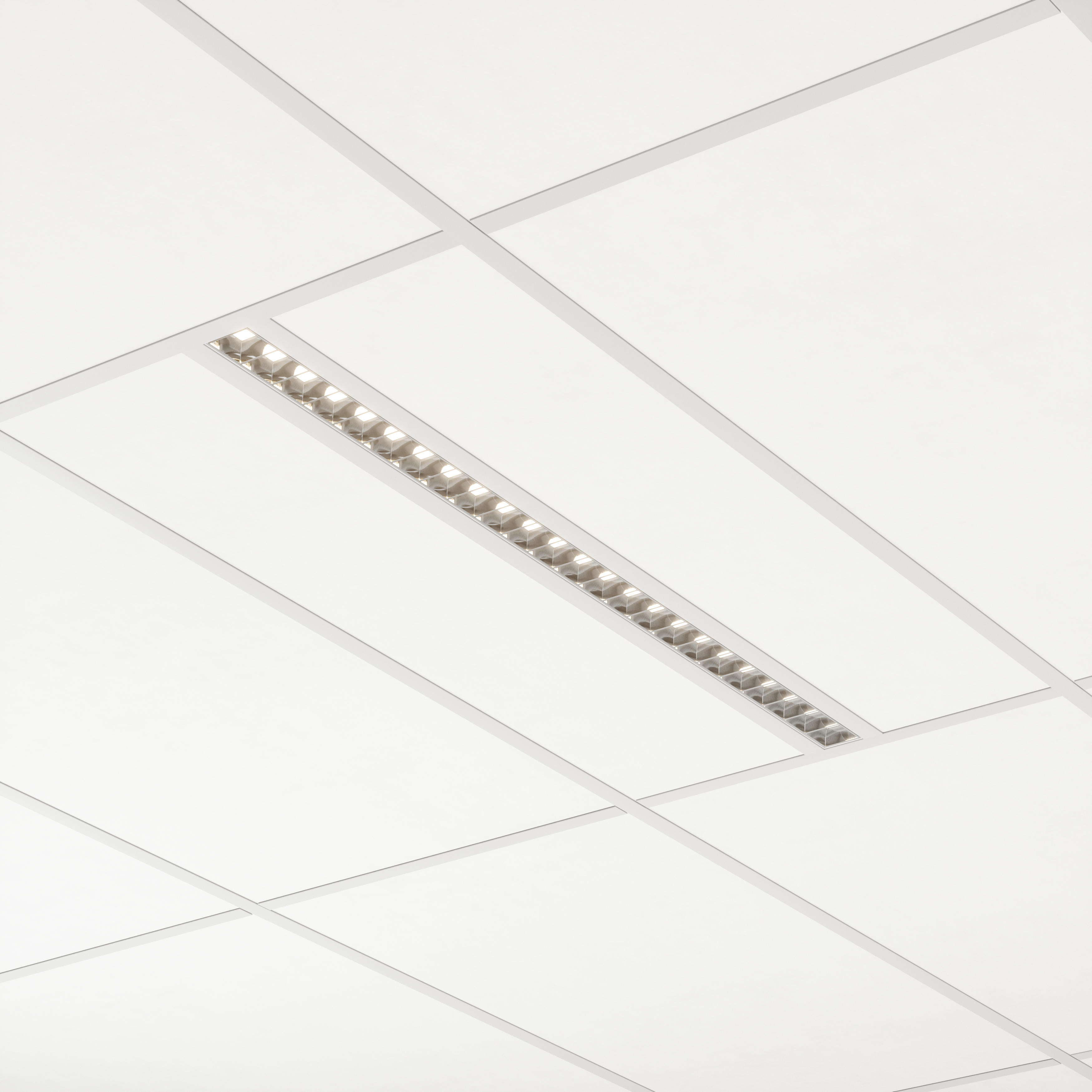 mini linea 60 FM E - evo - serie 2